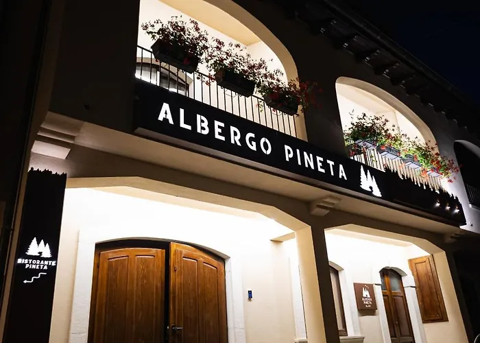 Hotel Pineta Dal 1891